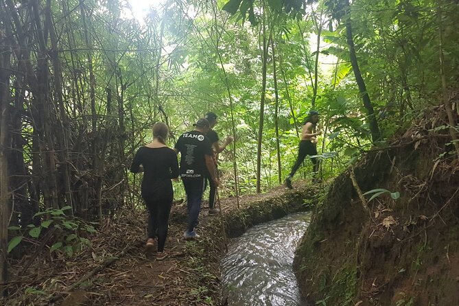 1 Day Trekking in Chiang Mai - The day’s core plan: cave, waterfall swim, and hilltribe village