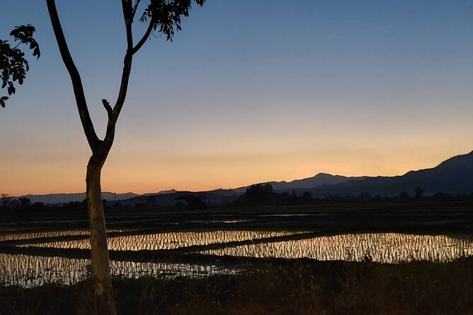 1 Day Trekking in Chiang Mai - How challenging is it, really? Pace, weather, and smart preparation