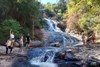 1 Day Trekking in Chiang Mai - Why the guide’s plant and herbal medicine talk is the real value