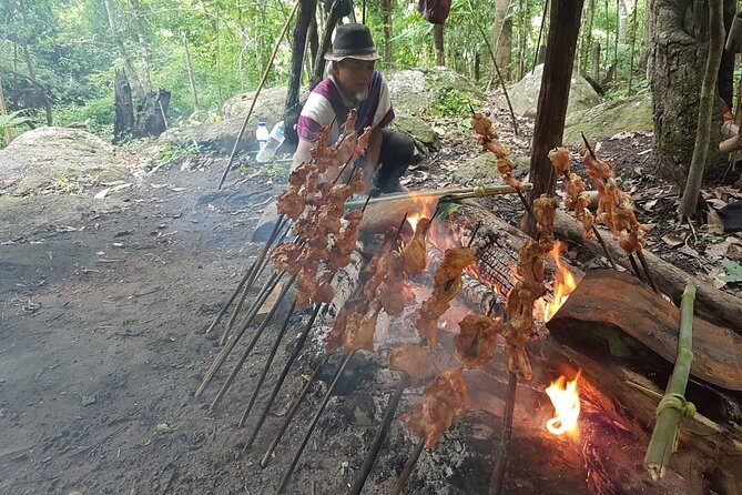 1 Day Trekking in Chiang Mai - Private tour perks: pickup, mobile ticket, and family-friendly trekking
