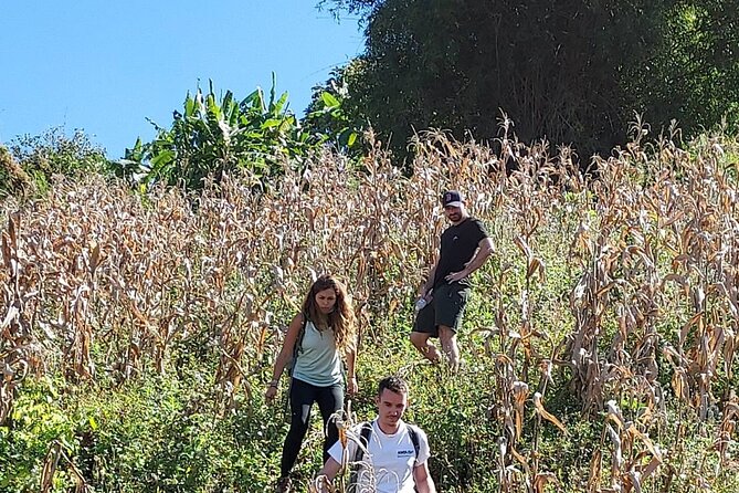 1 Day Trekking in Chiang Mai - What this day feels like in practice (the vibe you’re paying for)