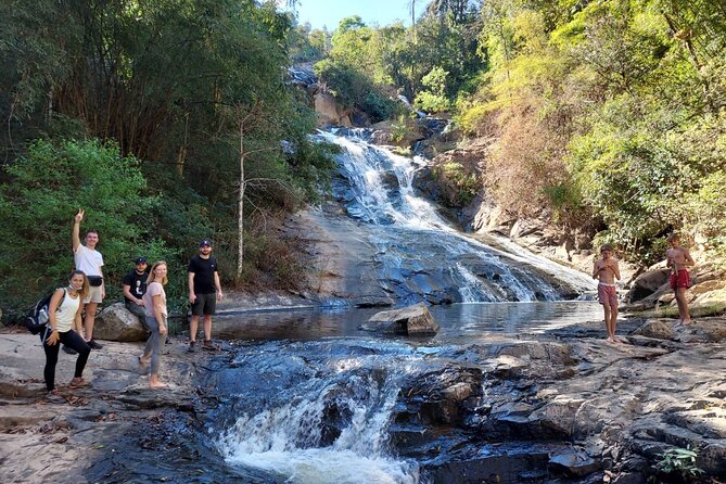 1 Day Trekking in Chiang Mai - Why the guide’s plant and herbal medicine talk is the real value