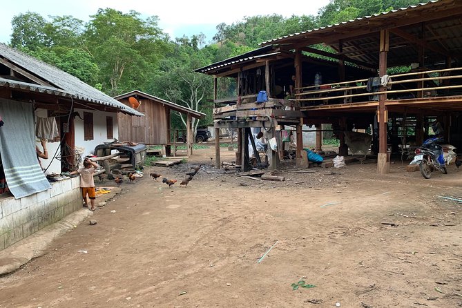 2-Day Kindred Spirit Elephant Sanctuary in Chiang Mai - Jungle Picnic Lunch and the Trip Back to Chiang Mai