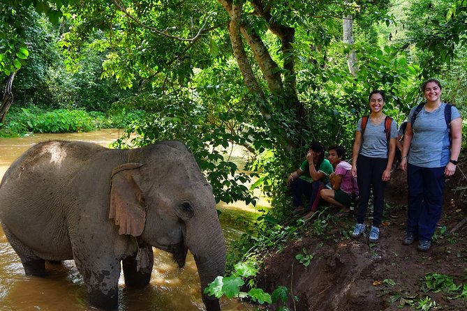 2-Day Kindred Spirit Elephant Sanctuary in Chiang Mai - Karen Village Life: Cooking Class and Basket Weaving