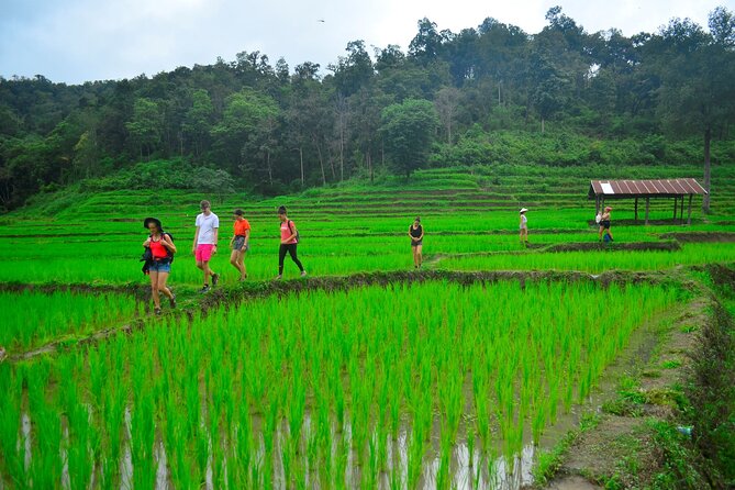2 Days Hiking Tour in Chiang Mai - Karen village without electricity and the contrast that hits fast