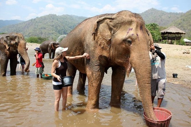 3D2NTrek Adventure at Chiang Mai Mea Wang Including Overnight at Karen Hilltribe - Guides, Group Size, and How Smooth the Days Feel