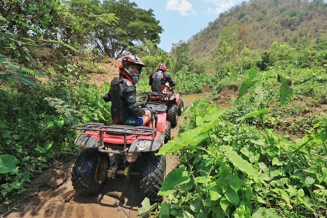 3hr ATV/ Quad biking adventure in Chiang Mai - Elephant-area stops: why these pauses feel real