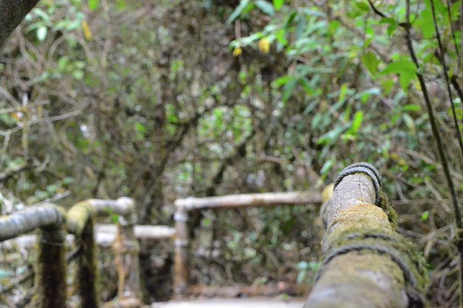 4 days Package Northern Charms. - Day 2: Doi Inthanon, the Roof of Thailand