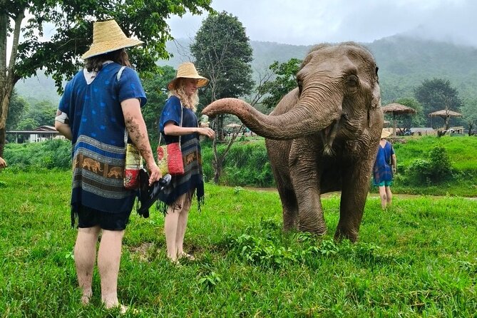 4 in 1 Elephants Long Neck Rafting and Sticky Waterfall Tour - Price and Value Check: Why $88.01 Can Be a Good Deal