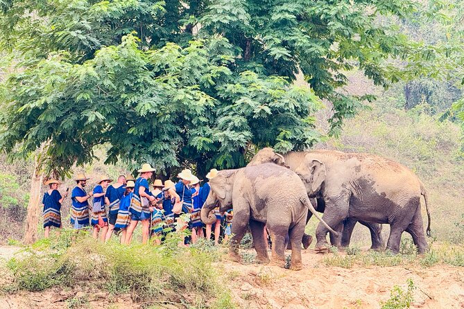 4 in 1 Elephants Long Neck Rafting and Sticky Waterfall Tour - Who Should Book This Tour (and Who Should Think Twice)