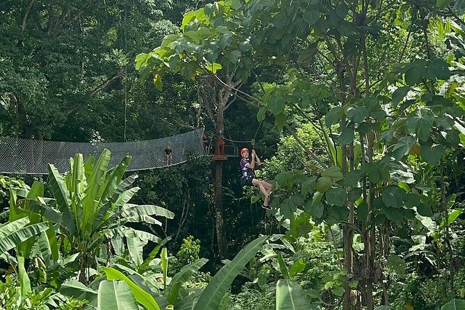 7 Hour Sticky Waterfall and Zipline Adventure - The Sticky Waterfall climb at Bua Thong Falls: what makes it special