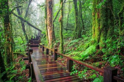 A Day Trip to Doi Inthanon Escape to Nature - Wachirathan Waterfall: Your First Real Taste of the Park