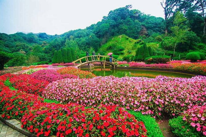 A Day Trip to Doi Inthanon Escape to Nature - Summit of Thailand: Getting to the Highest Point
