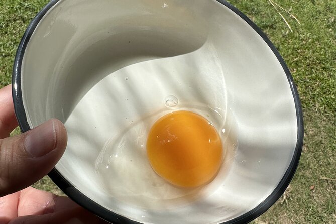 Aroidee’s Farm-Fresh Thai Cooking Experience - Garden-to-kitchen work: herbs, eggs, and farm animal encounters
