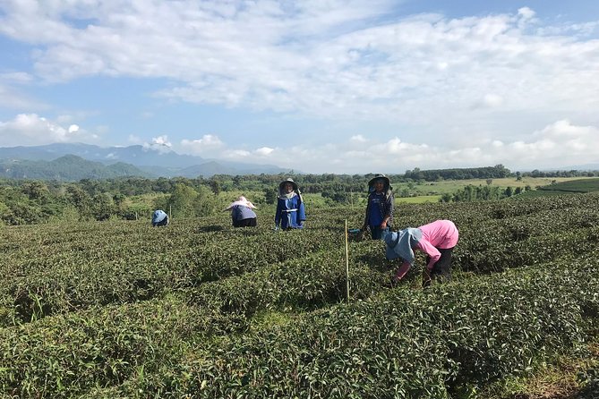Best 2-Day: Explore Chiang Rai Landmarks from Chiang Mai, Private Trip - Who this tour suits best (and who may not)