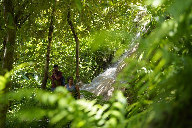 Bua Tong Waterfall Adventure& Huge Cave included Thai Buffet Tour - Lunch and Snacks: Turning Heat Into Comfort