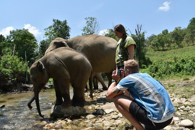 Care Pride Elephants: Full-Day Tour Experience - Value in plain numbers: why $91-ish can make sense