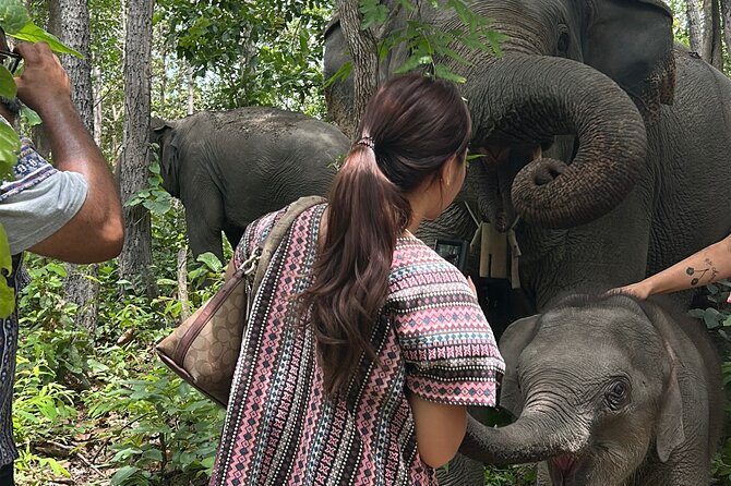 Chiang Mai 1 Day: Elephant Sanctuary, Waterfall & Bamboo Rafting - Bamboo rafting: calm, scenic river time after the falls