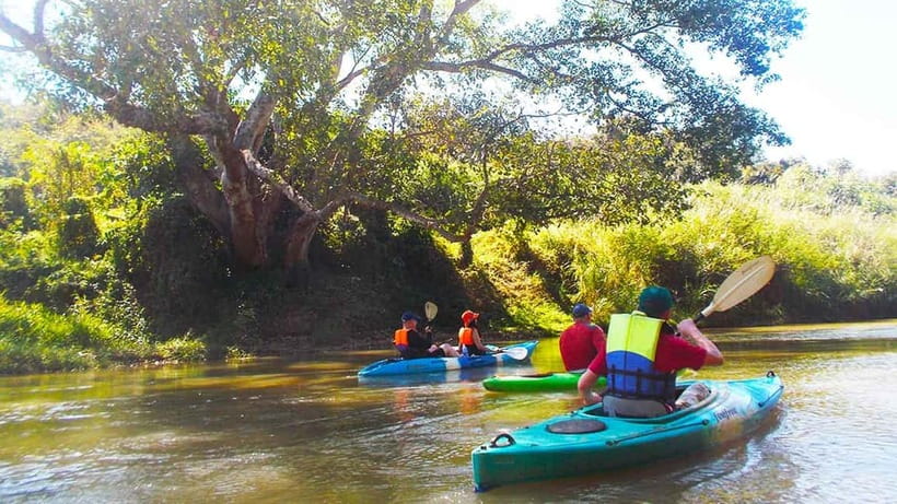 Chiang Mai: 15 km Leisure River Kayaking at Mae Ngat forest - Transportation: The Drive Time That Shapes Your Energy