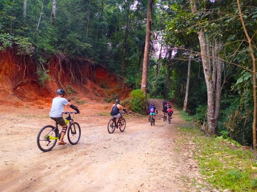 Chiang Mai: 20km Downhill Mountain Biking Challenge Suthep M - The first chunk of descent: jungle tracks, cool air, and coffee views