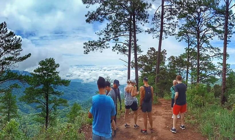 Chiang Mai: 7-Hour Doi Suthep National Park Summit Hiking - Key highlights that matter before you lace up