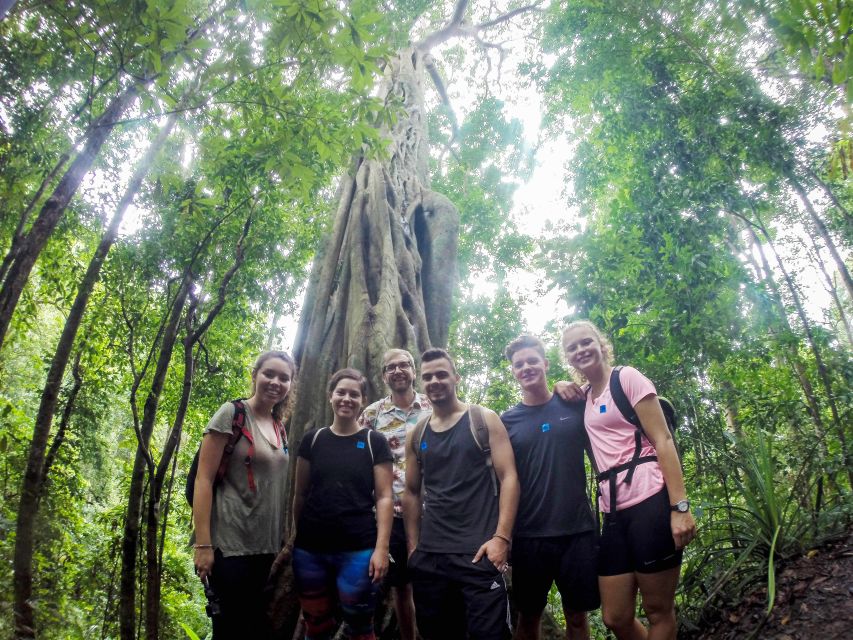 Chiang Mai: 7-Hour Doi Suthep National Park Summit Hiking - Wat Phra That Doi Suthep: classic temple views with a practical pause