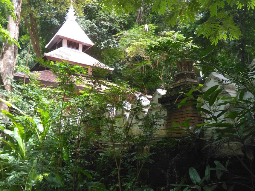 Chiang Mai: 7-Hour Doi Suthep National Park Summit Hiking - Transportation and the “two temple stops” rhythm