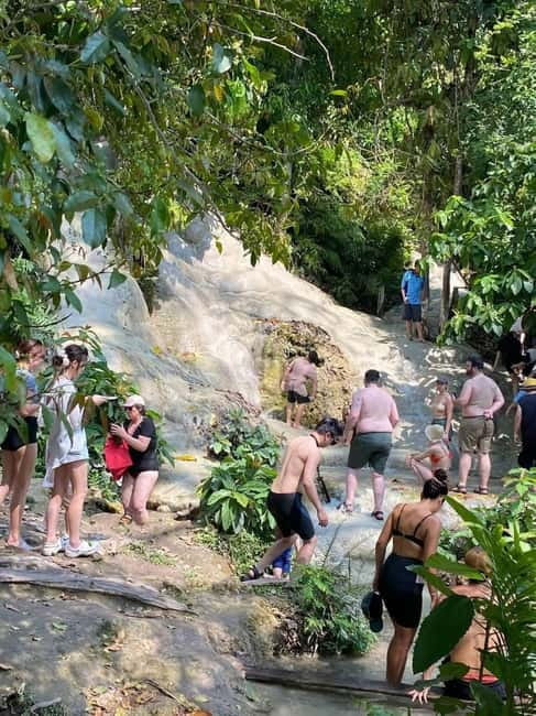 Chiang Mai: Afternoon Bua Tong Sticky Waterfall by Red Taxi - Sticky Waterfall: What Makes Bua Tong Different From a Normal Waterfall