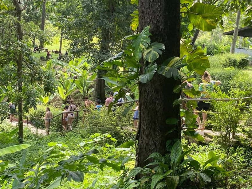 Chiang Mai: Afternoon Bua Tong Sticky Waterfall by Red Taxi - How Long It Really Takes and Why Two Hours Works
