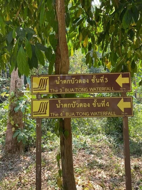 Chiang Mai: Afternoon Bua Tong Sticky Waterfall by Red Taxi - Who This Tour Fits Best (And Who Might Prefer Something Else)