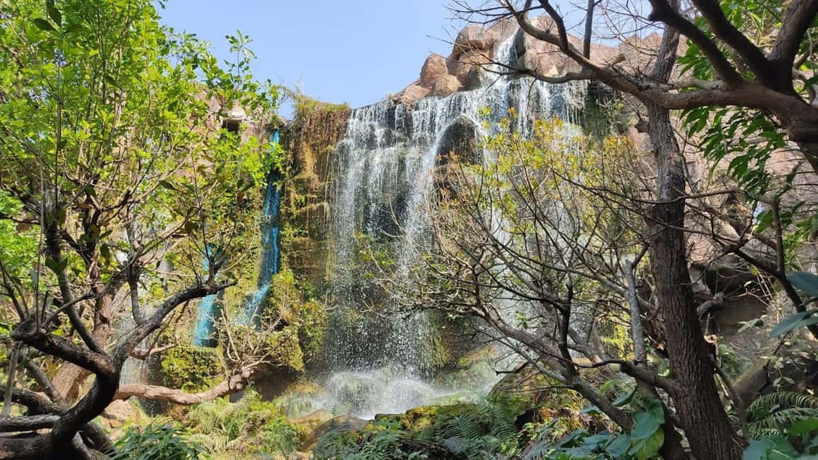 Chiang Mai: Angel Waterfall & Sticky Waterfall & Wat Ban Den - Your Day in Chiang Mai: Waterfalls, Stupas, and a Real Climb