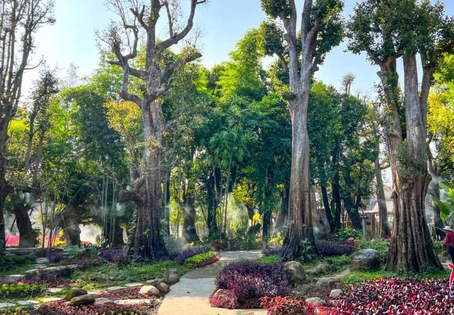 Chiang Mai: Angel Waterfall & Sticky Waterfall & Wat Ban Den - Mae Taeng District Lunch: A Midday Reset Before Sticky Waterfalls