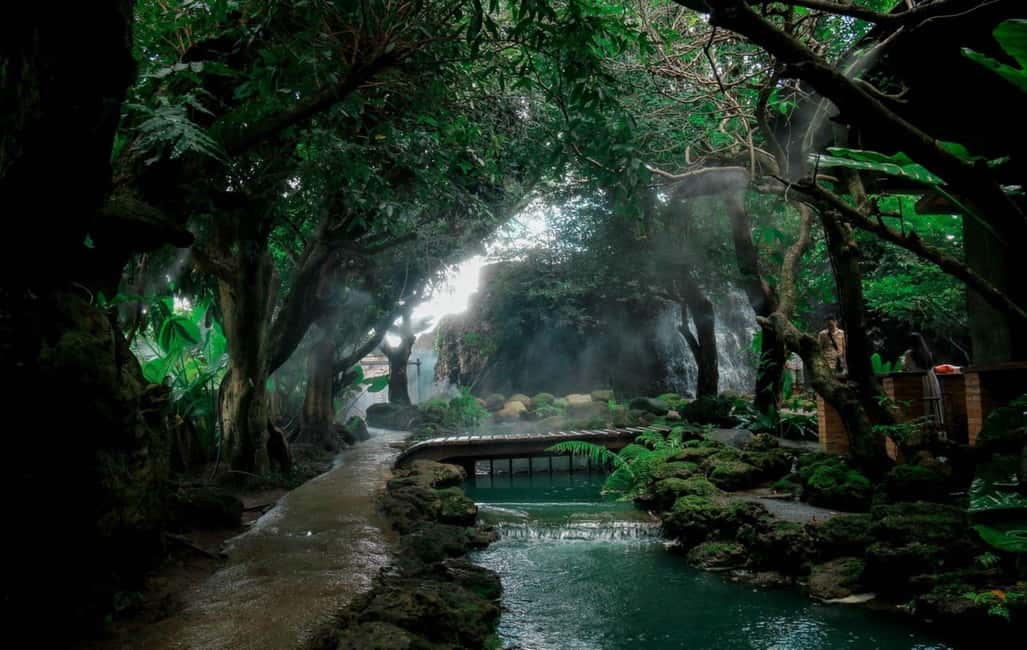 Chiang Mai: Angel Waterfall & Sticky Waterfall & Wat Ban Den - Bua Thong Sticky Waterfalls: The Grippy Rock Climb