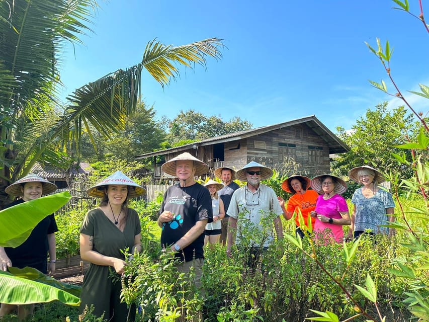 Chiang Mai: Asia Scenic Thai Cooking School - Organic farm visit: the flavor lesson behind herbs and produce