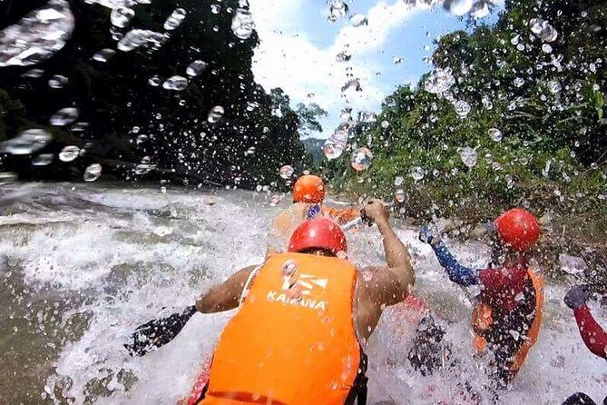 Chiang Mai ATV White Water Rafting and Elephant Sanctuary Full-Day Trip - How small-group pacing actually helps you enjoy the day