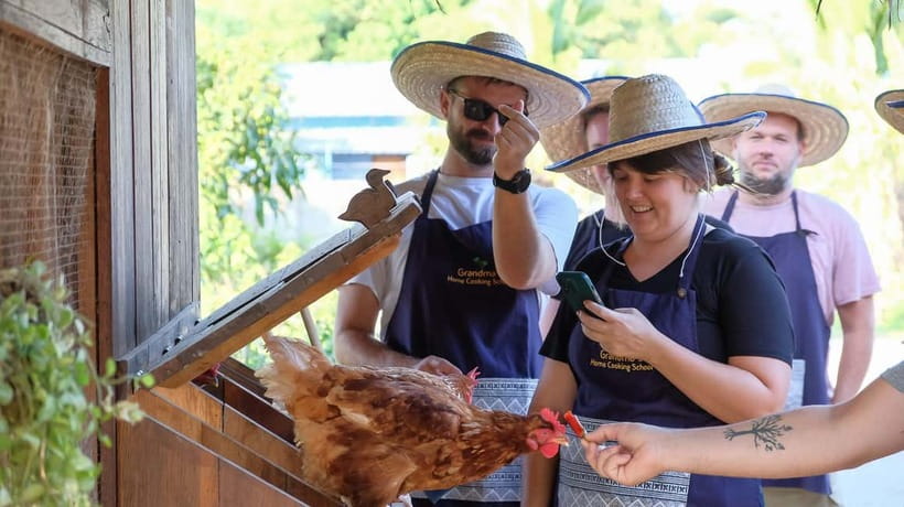 Chiang Mai: Authentic Cooking Class with Market & Farm Visit - What you cook: Thai classics plus Chiang Mai’s signature dishes