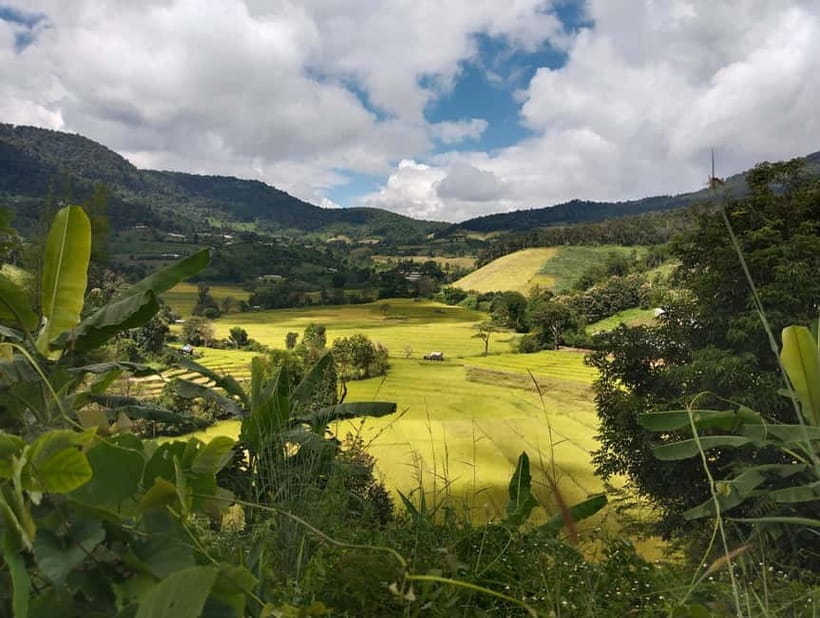Chiang Mai Authentic Trekking - Phalai Mountain Peak: The Big View Reward
