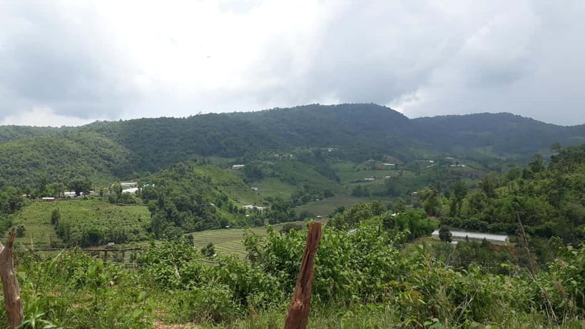 Chiang Mai Authentic Trekking - Price and Value: Why $57 Can Work (If You Want a Real Hike)