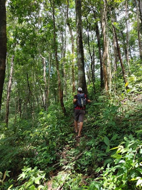 Chiang Mai Authentic Trekking - Best Season and What to Wear on a Mountain Day