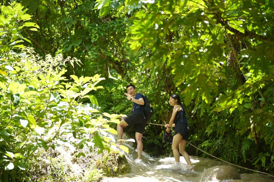 Chiang Mai: Bua Thong Sticky Waterfall & Huge Cave & Buffet - Key things you’ll notice on this Chiang Mai day trip