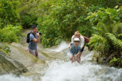 Chiang Mai: Bua Thong Sticky Waterfall & Huge Cave & Buffet - Sticky (But Tong) Waterfall: why the climb is the whole point