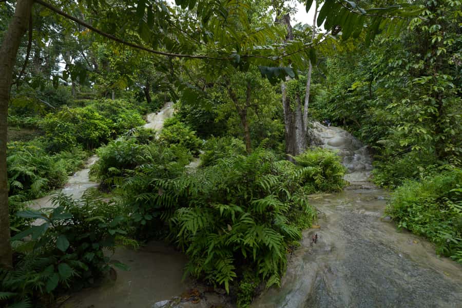 Chiang Mai: Bua Thong Sticky Waterfall & Huge Cave & Buffet - Timing, transport, and comfort: the practical stuff that decides your day