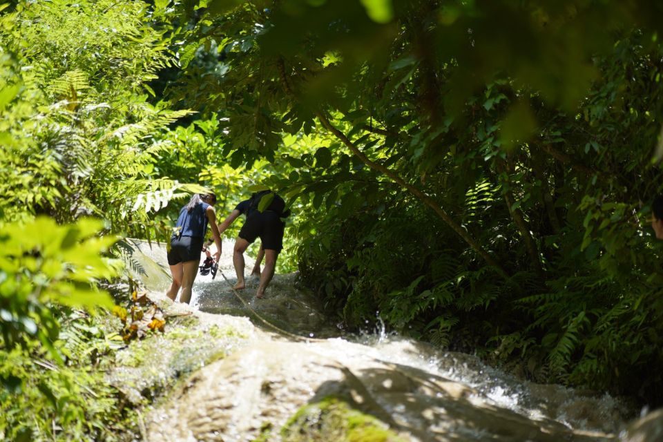Chiang Mai: Bua Thong Sticky Waterfall & Huge Cave & Buffet - Guides you can trust on slippery limestone and stairs
