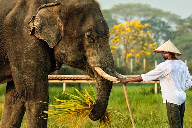 Chiang Mai Chapulin Elephant Care and Sticky Waterfall - Bathing and play in the water: fun, messy, and part of the show