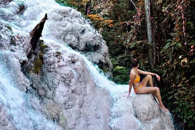 Chiang Mai Chapulin Elephant Care and Sticky Waterfall - Lunch or afternoon tea at the café: built-in downtime