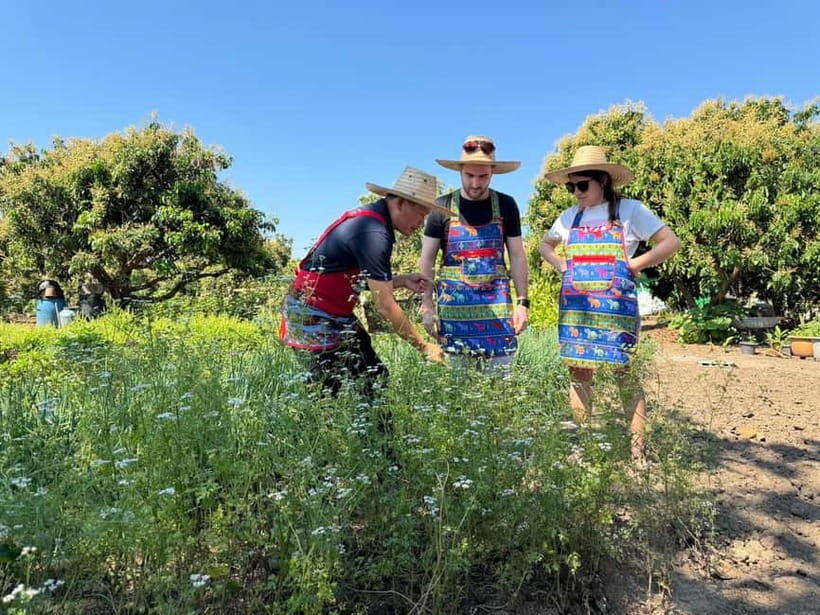 Chiang Mai : Cook in Farm, Market tour & Go by a Local Train - Key highlights worth your attention