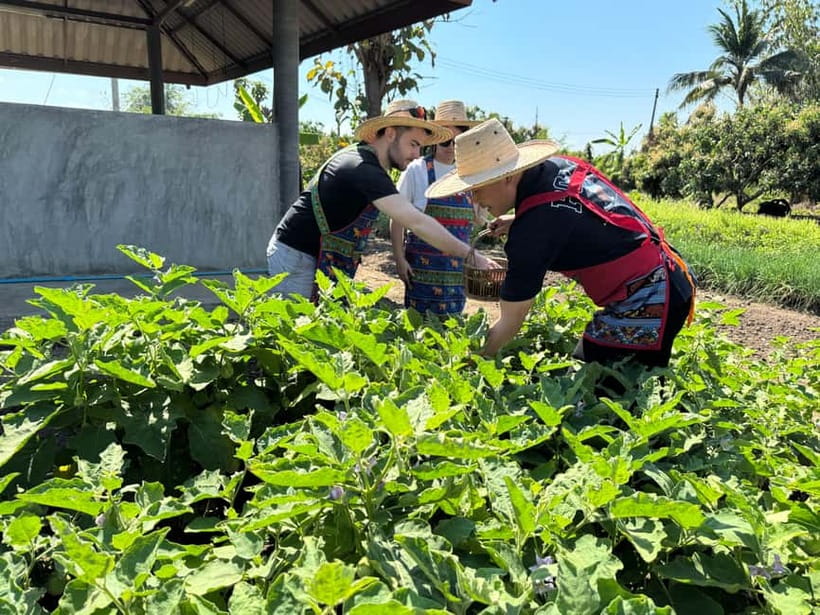 Chiang Mai : Cook in Farm, Market tour & Go by a Local Train - Price and Time: Is $57 Worth It?