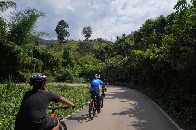 Chiang Mai: Cycling Nam Phare Countrysides, Breezy-Relax & Lunch - Key Things I’d Circle Before You Book