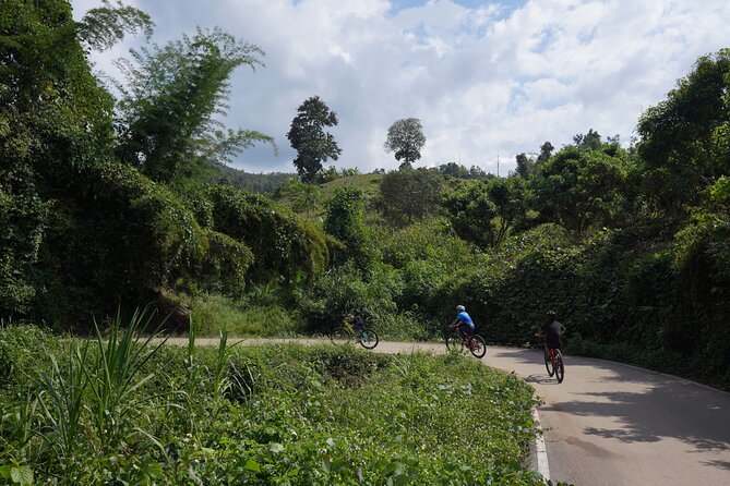 Chiang Mai: Cycling Nam Phare Countrysides, Breezy-Relax & Lunch - Price and Value: Where $41.99 Really Lands