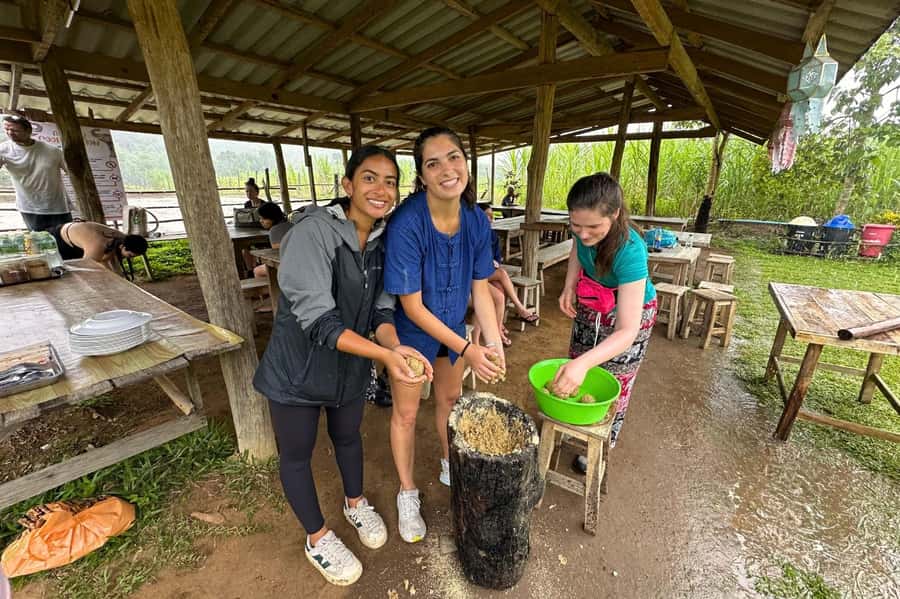 Chiang Mai: Day for Elephant Observation Only Half-day Trip - Big Boy’s no-control elephant rules: what they mean for you